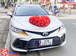 Xe Hoa - Toyota Camry Mới