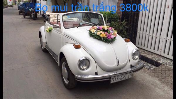 Xe Hoa - Volkswagen Mui Trần